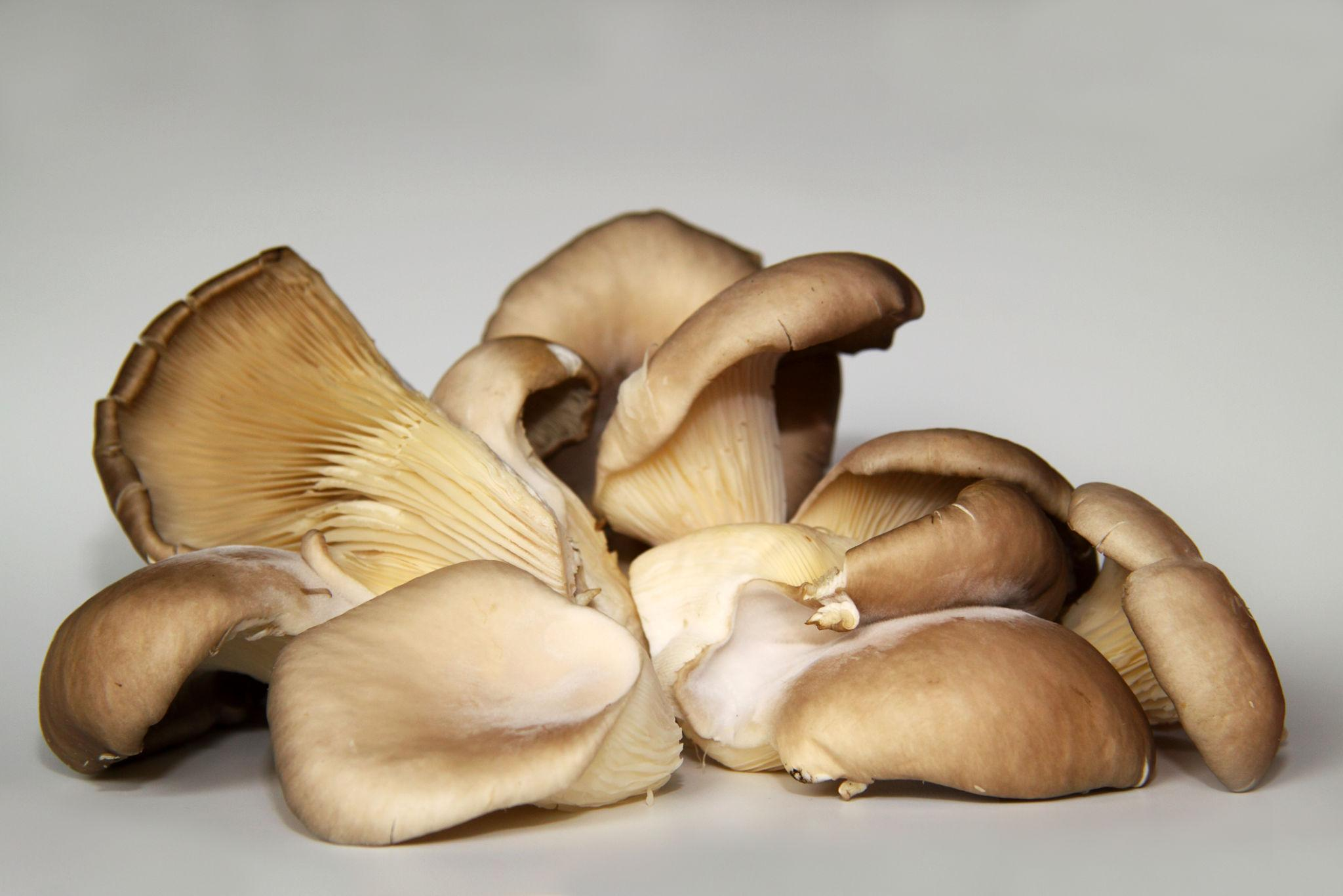 Are You Looking To Lose Your Weight?